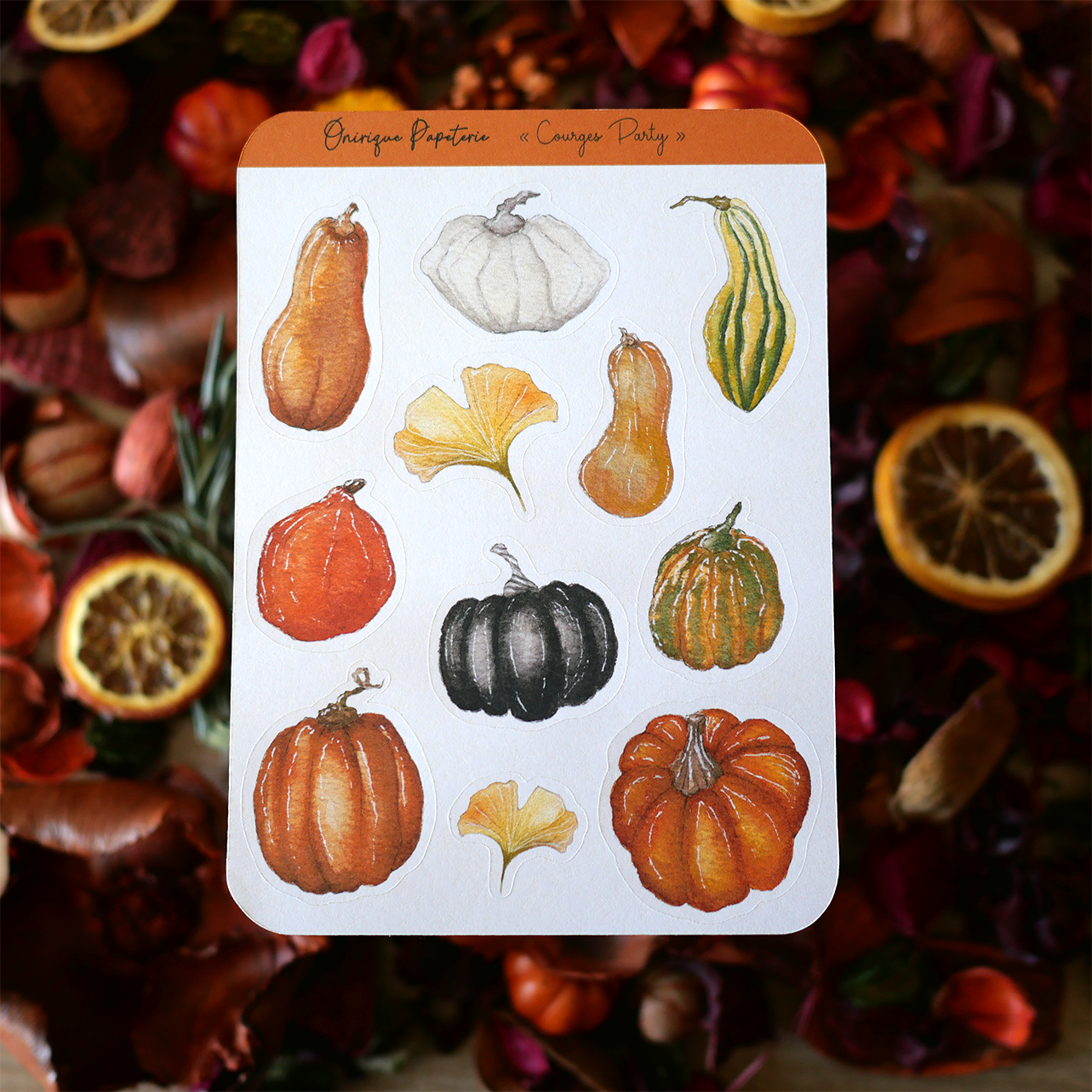 Planche de 11 Stickers "Courges Party"