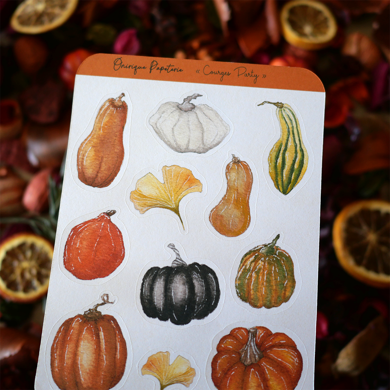 Planche de 11 Stickers "Courges Party"