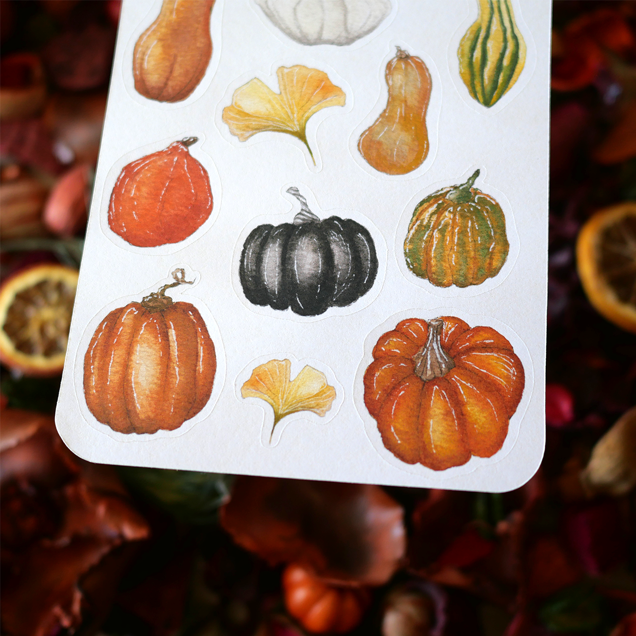 Planche de 11 Stickers "Courges Party"