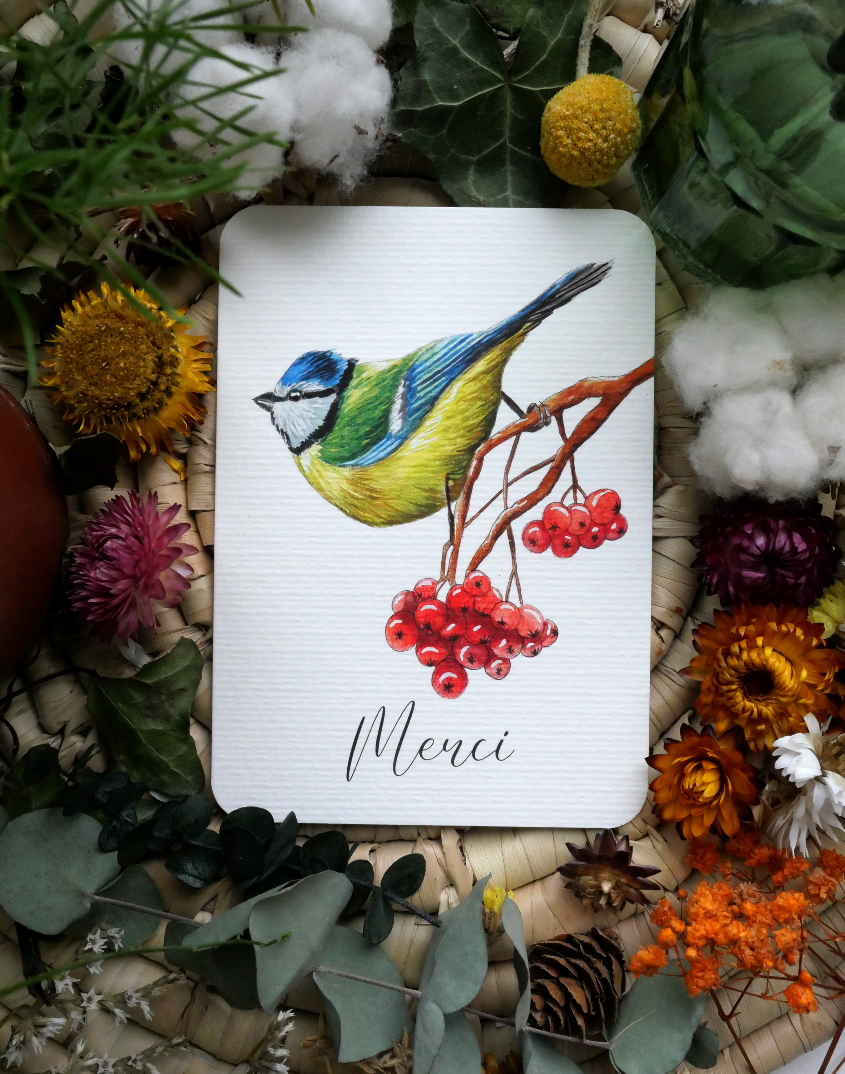 Carte Mésange "Merci"
