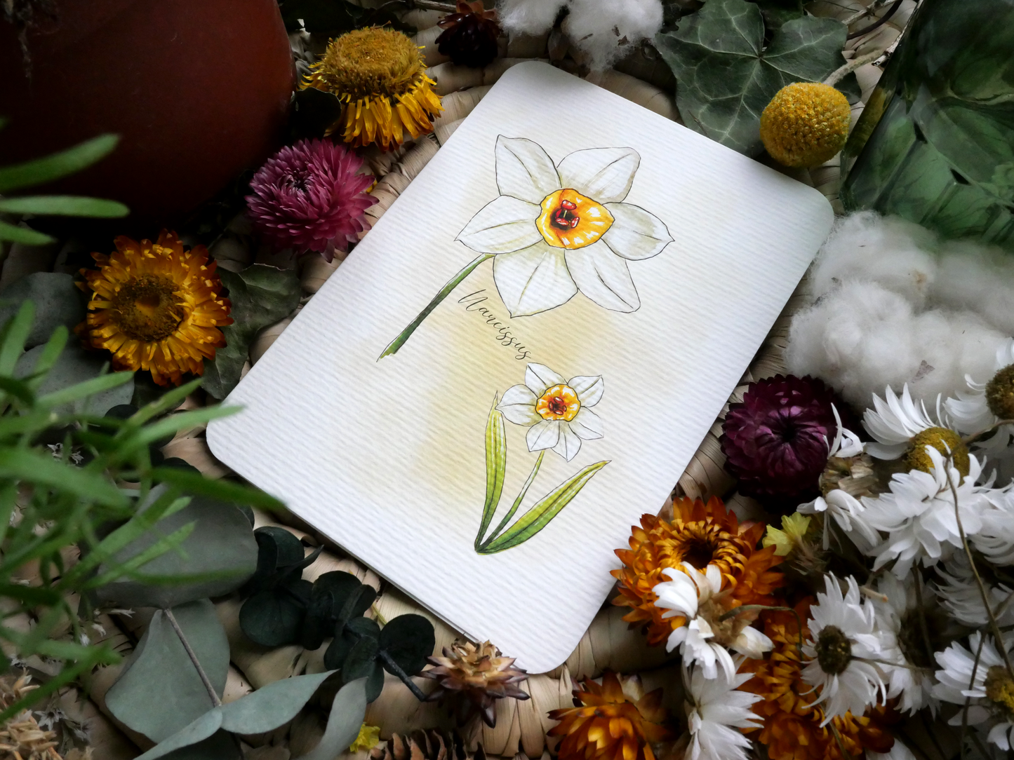 Carte Narcisses Sans texte