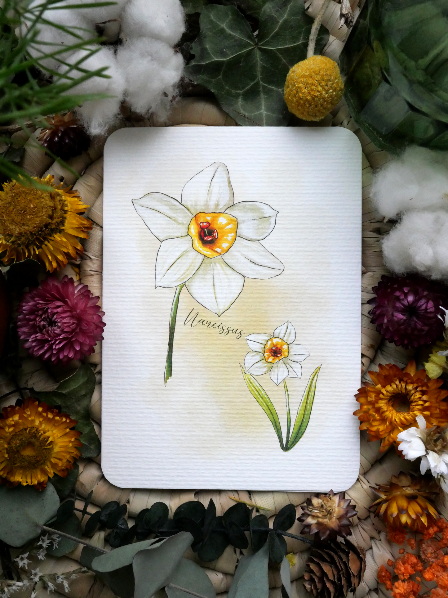 Carte Narcisses Sans texte
