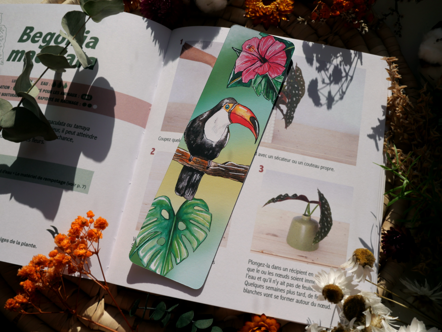Marque-page Toucan