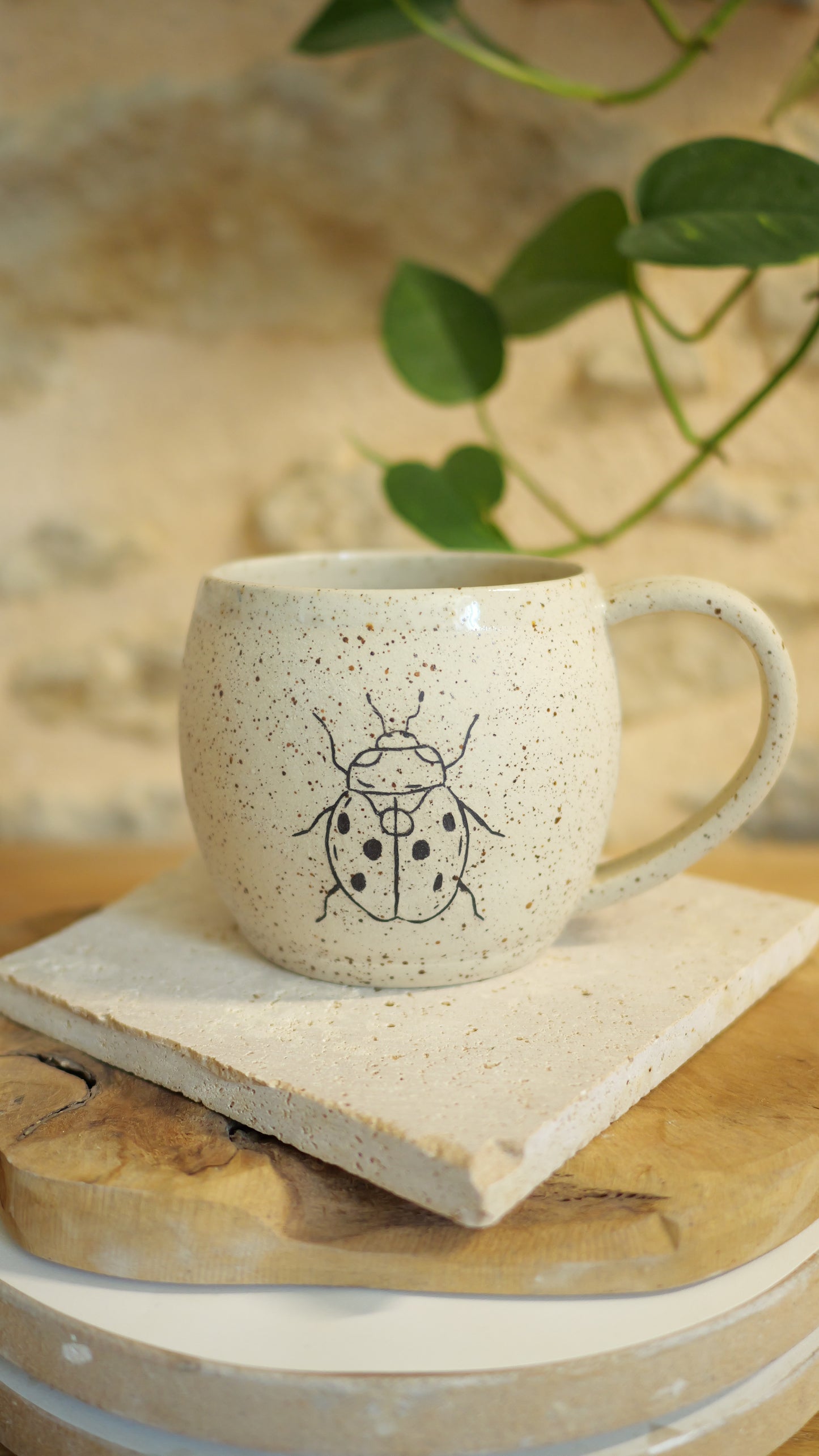 Mug Coccinelle